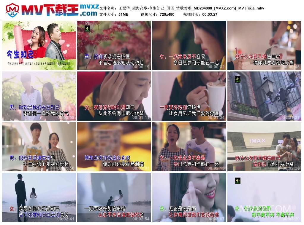 王爱华_望海高歌-今生知己_国语_情歌对唱_MD204008